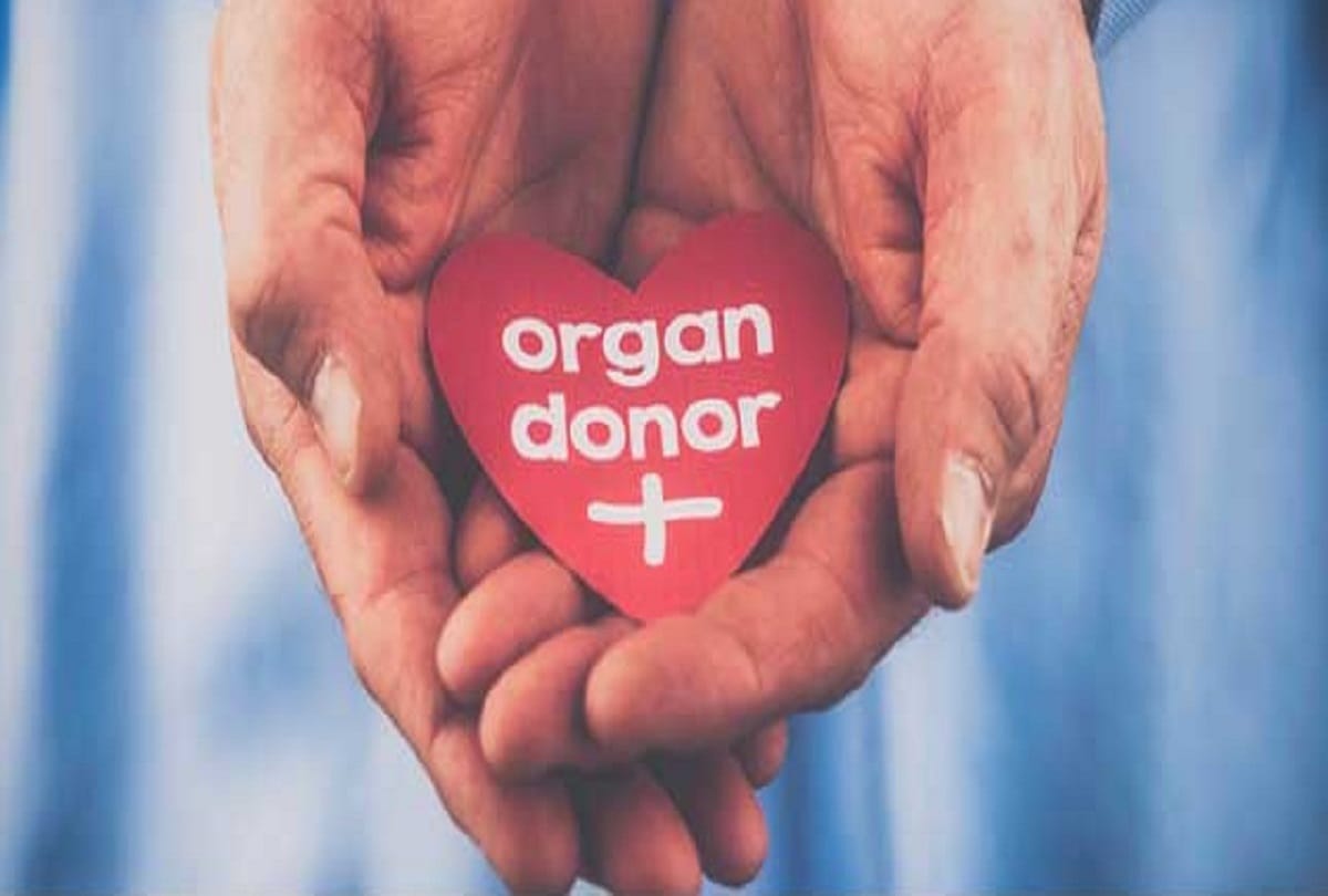 Over 15,000 organ donations are now made annually in india says Health Minister Mansukh Mandaviya