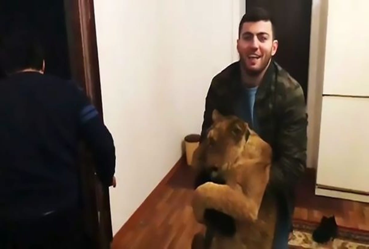 video being viral of Most horrable prank by a blogger with his friends