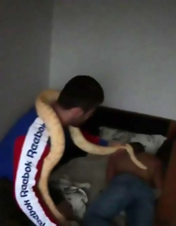 video being viral of Most horrable prank by a blogger with his friends