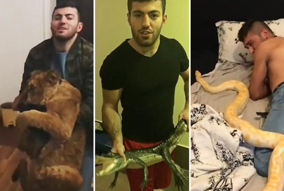 video being viral of Most horrable prank by a blogger with his friends