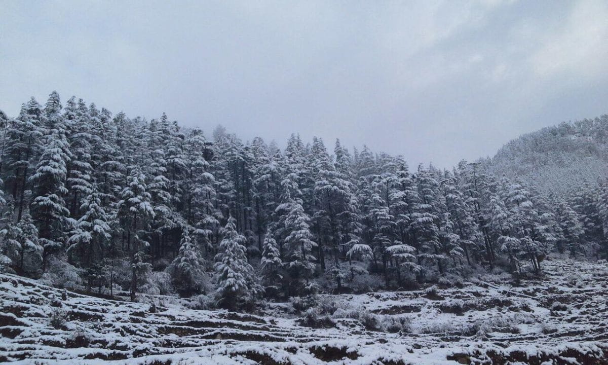 awesome photos of snowfall in kedarnath
