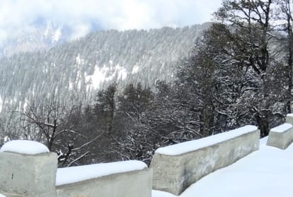 three people died due to cold in himachal