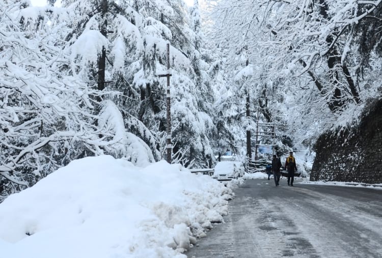 cold wave in himachal after fresh snowfall