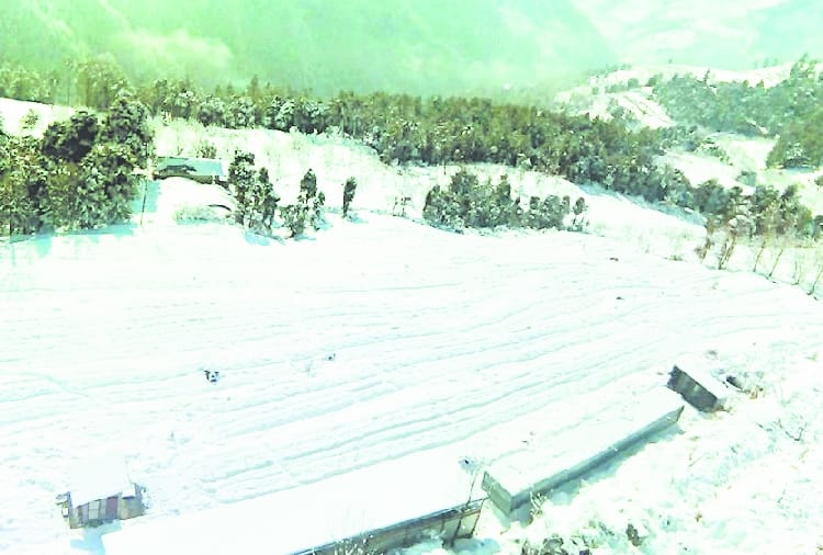 chilling hours of apple plants will complete from fresh snowfall in himachal