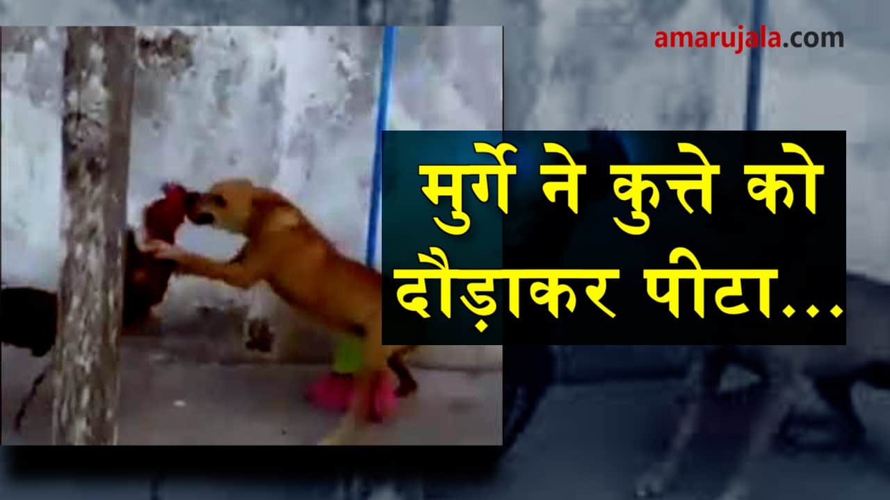 प्रतीकात्मक तस्वीर