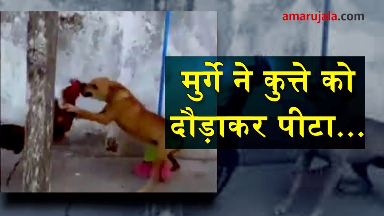 प्रतीकात्मक तस्वीर