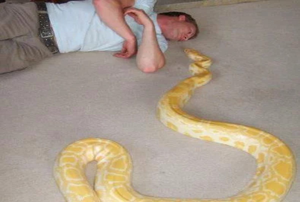 snake handler mystery death with serious injuries after pet escaped