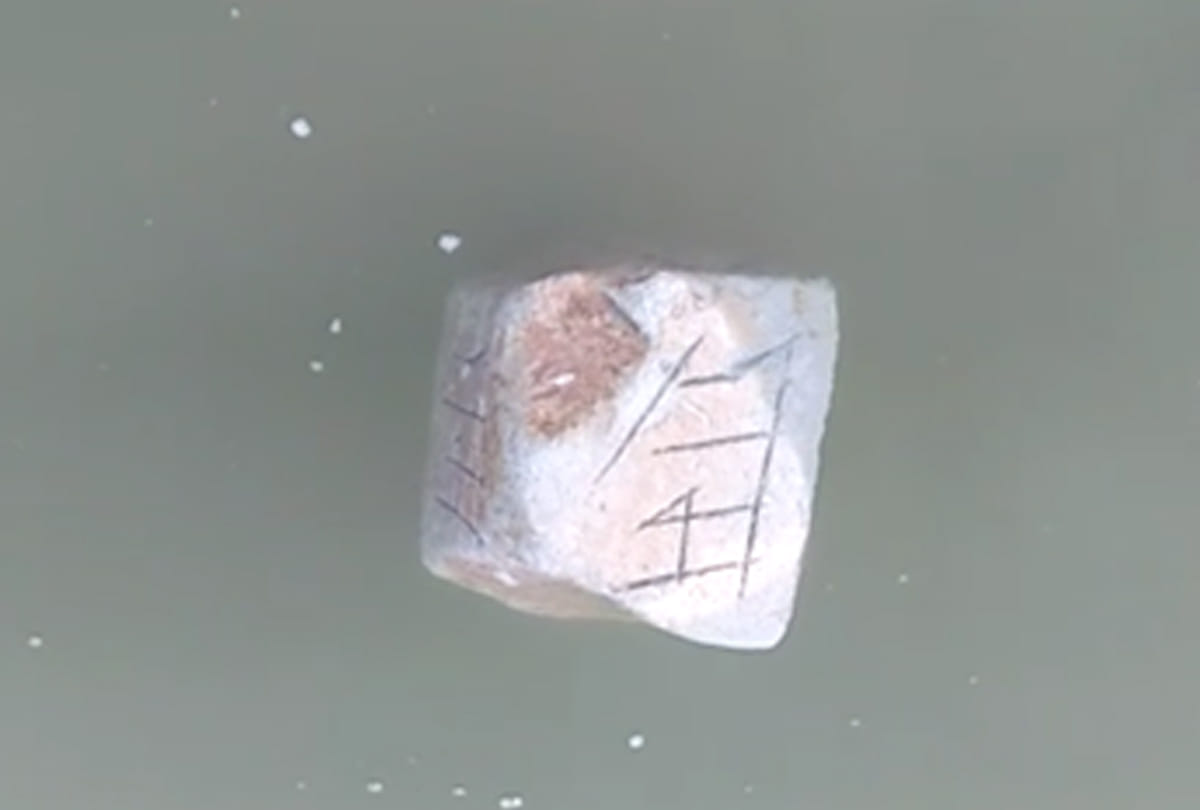 name of Rama stone was swimming in Yamuna river