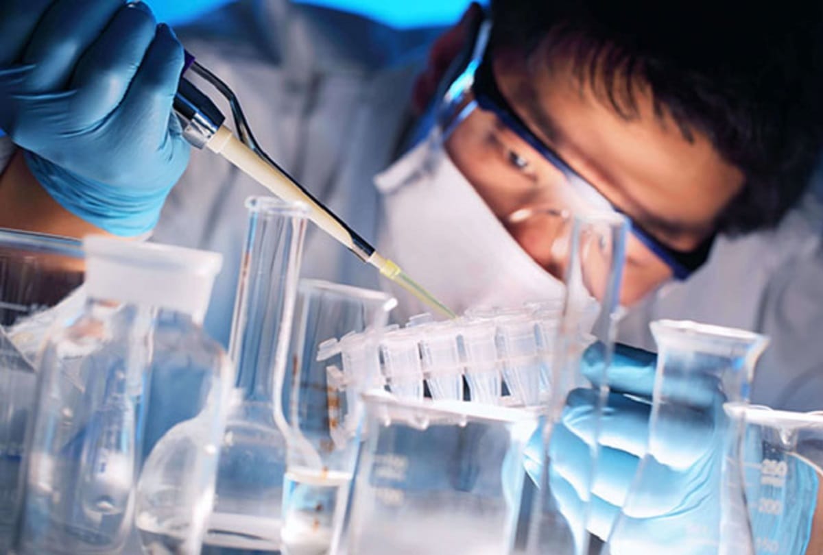 know how dangerous is new pig virus for human 