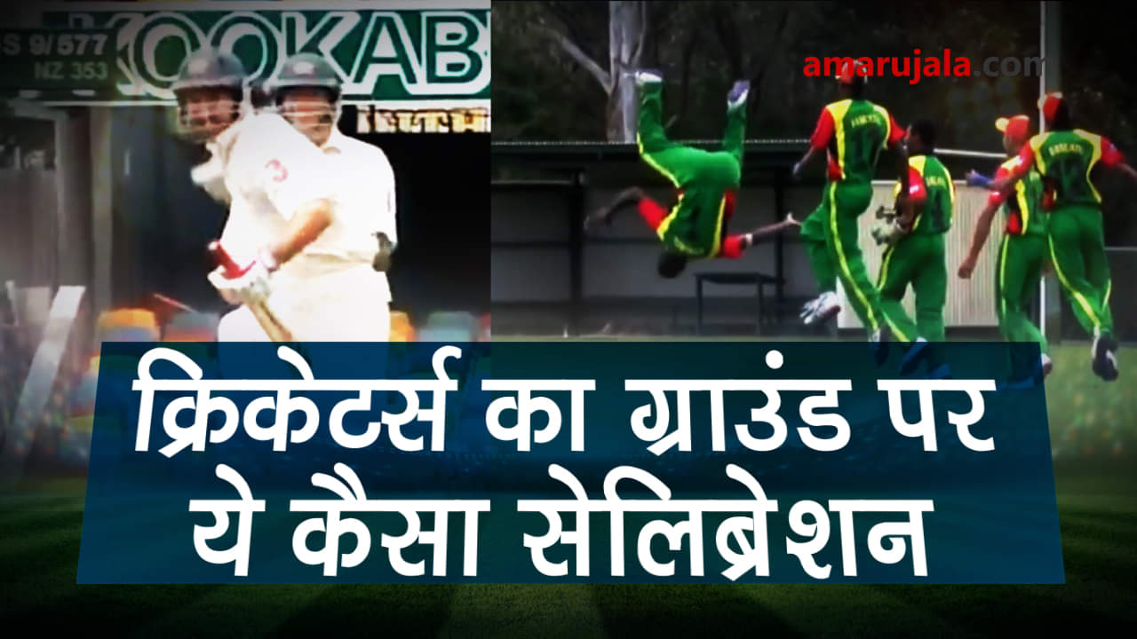 cricketers celebration on the field in the most weird way possible special story