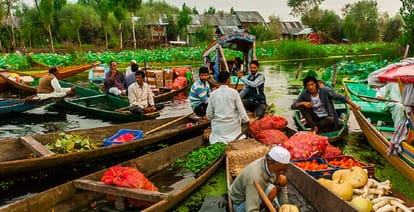 floating market opens in West Bengal