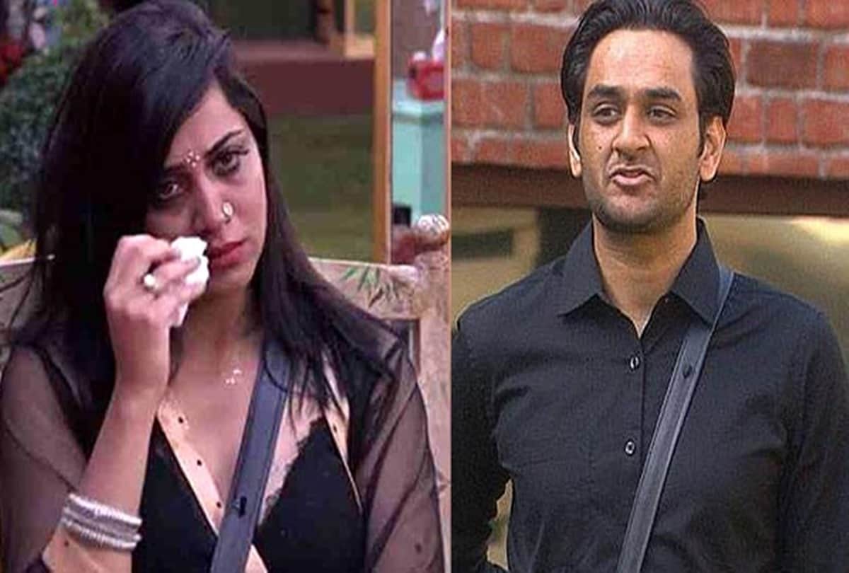 Vikas Gupta talks about Arshi Khans character after Bigg Boss 11