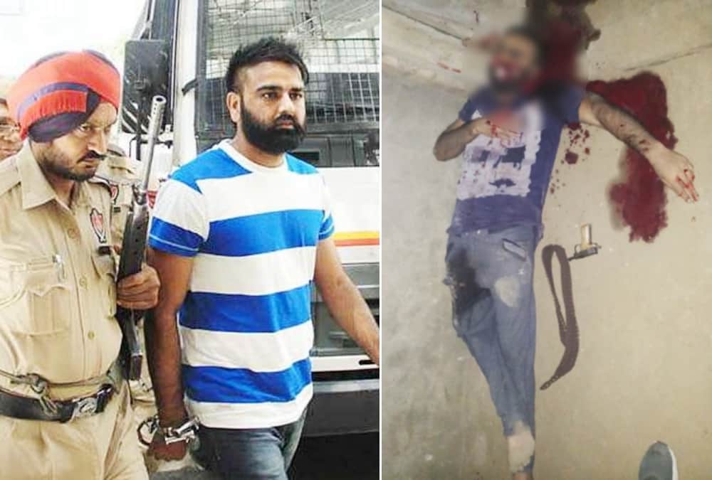 gangster vicky gounder killed in encounter see images