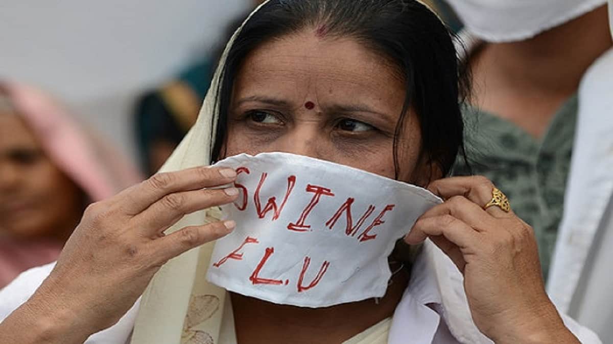 types of swine flu its symptoms and precautions remedies