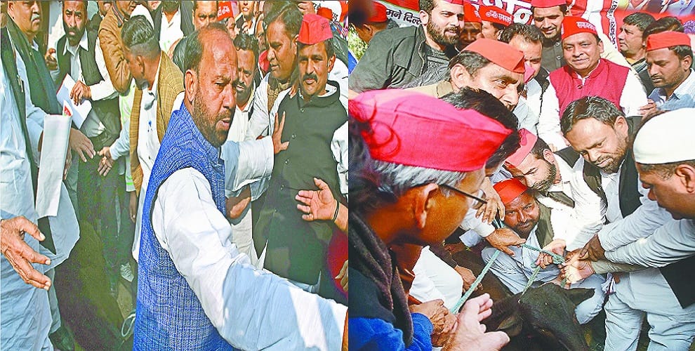 Samajwadi party workers presented potato cattle, Atul questioned PM and CM over disputed questions