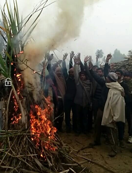The farmers lit the cane of the cane