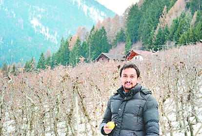 himachal horticulturist waiting for new italians apple varieties