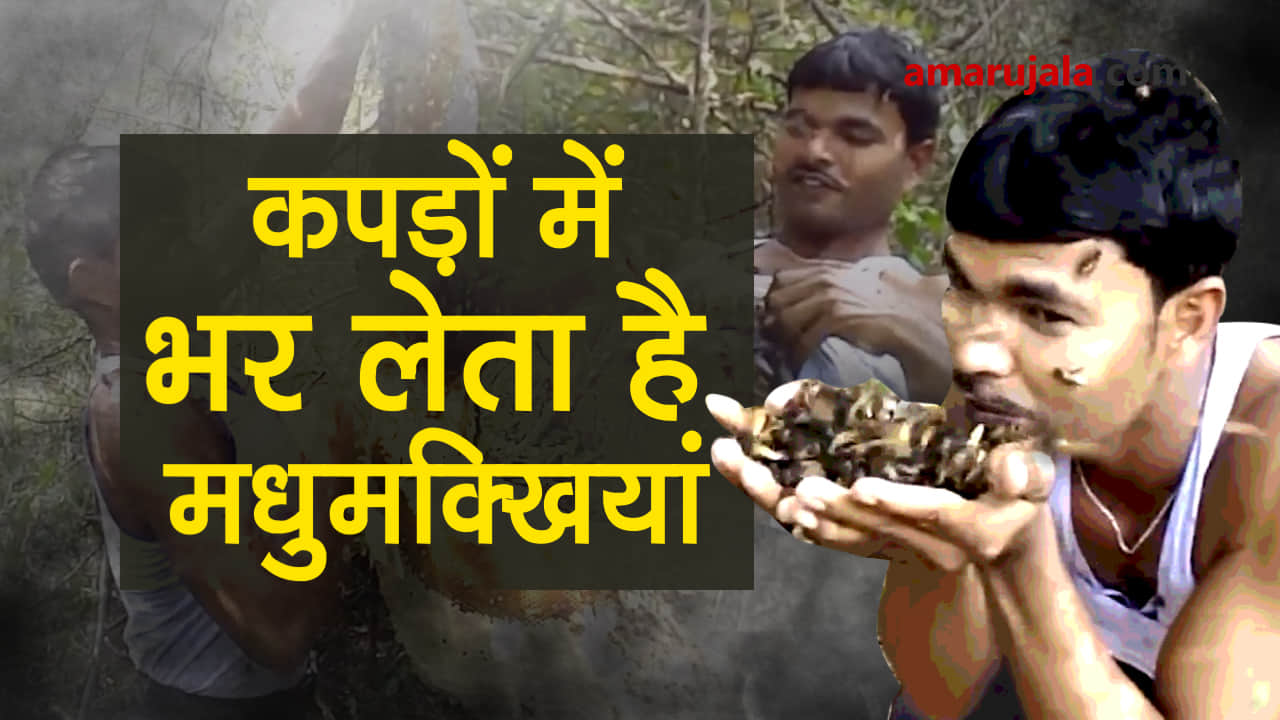 प्रतीकात्मक तस्वीर