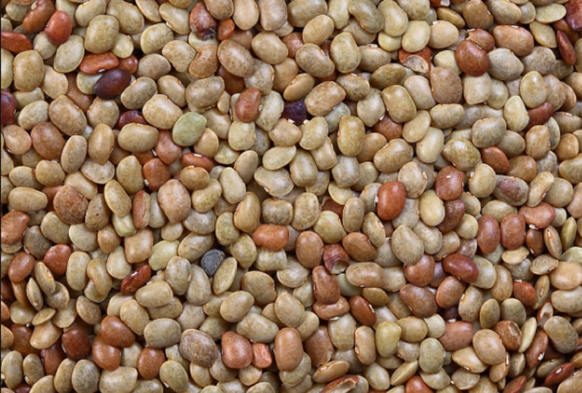 This Is How Horse Gram Or Kulthi Dal Helps In Improving Sperm Count In Men