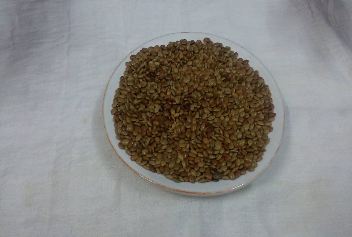 This Is How Horse Gram Or Kulthi Dal Helps In Improving Sperm Count In Men