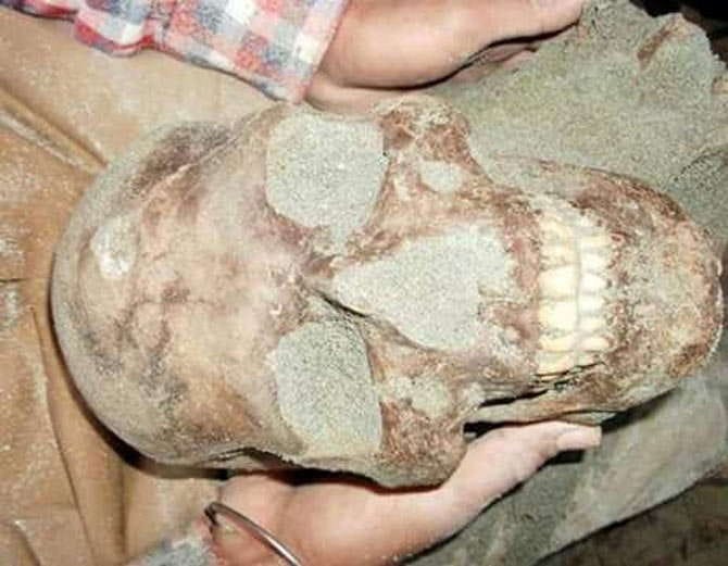 martyrs skelten found from kalianwala khu in ajnala sector amritsar