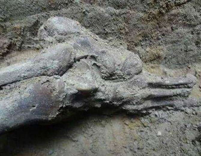 martyrs skelten found from kalianwala khu in ajnala sector amritsar