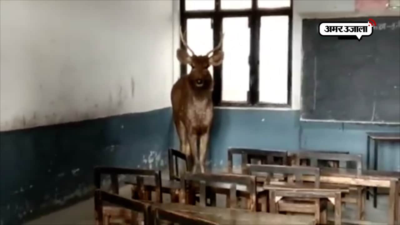 मुरादाबाद 