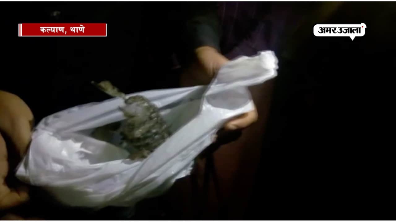 पद्मावत