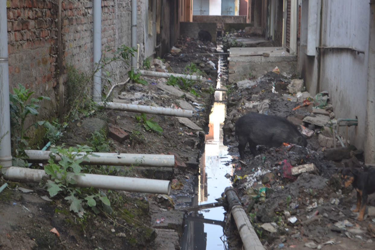 people of omnakrvatika colony are bothered