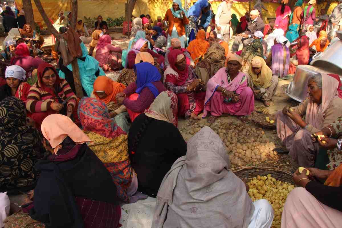 see the photos of varanasi mini punjab on the name of Saint Ravidas Jayanti 