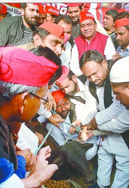 tehseel me sapa kaa dharna