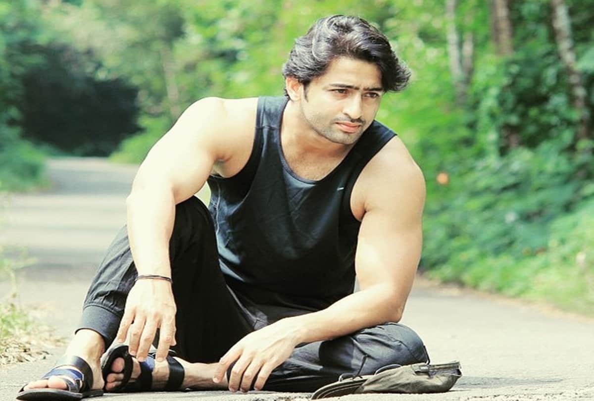 Shaheer Sheikh speaks about Kasautii Zindagii Kay reboot 