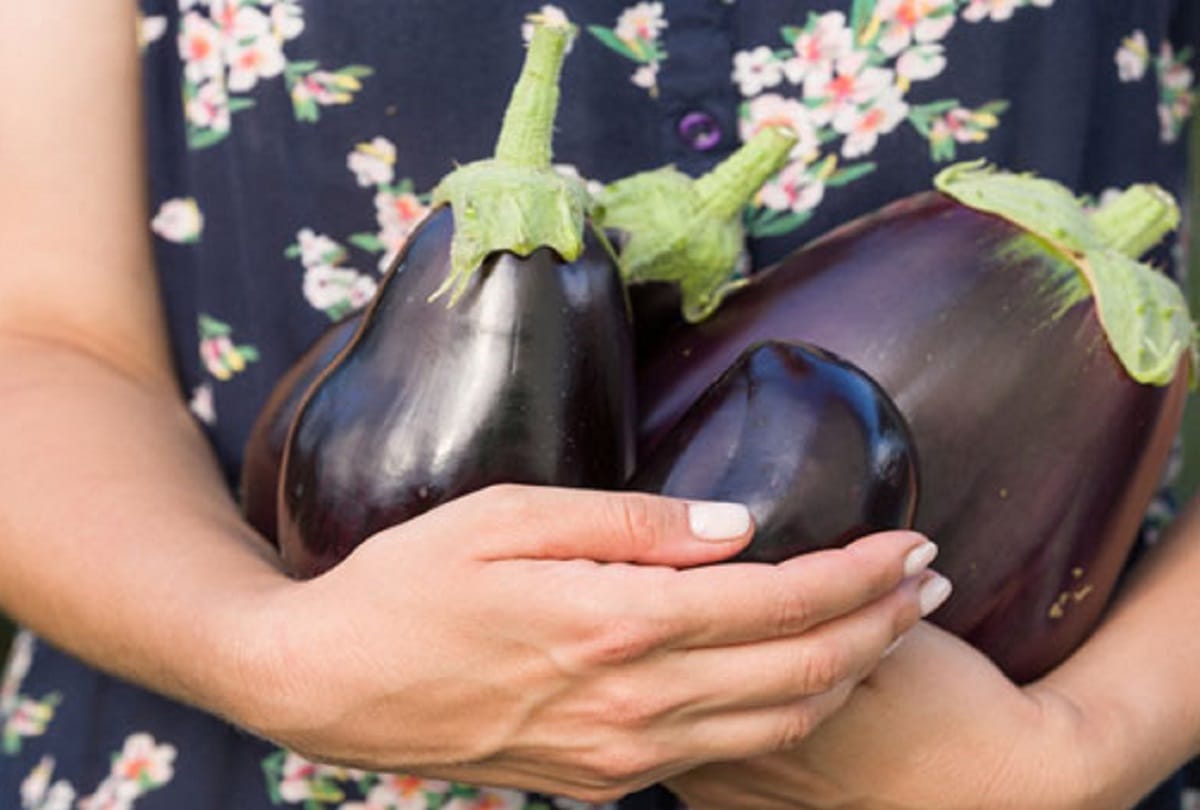 This Is Why Women Should Regularly Eat Eggplant Or Bringal