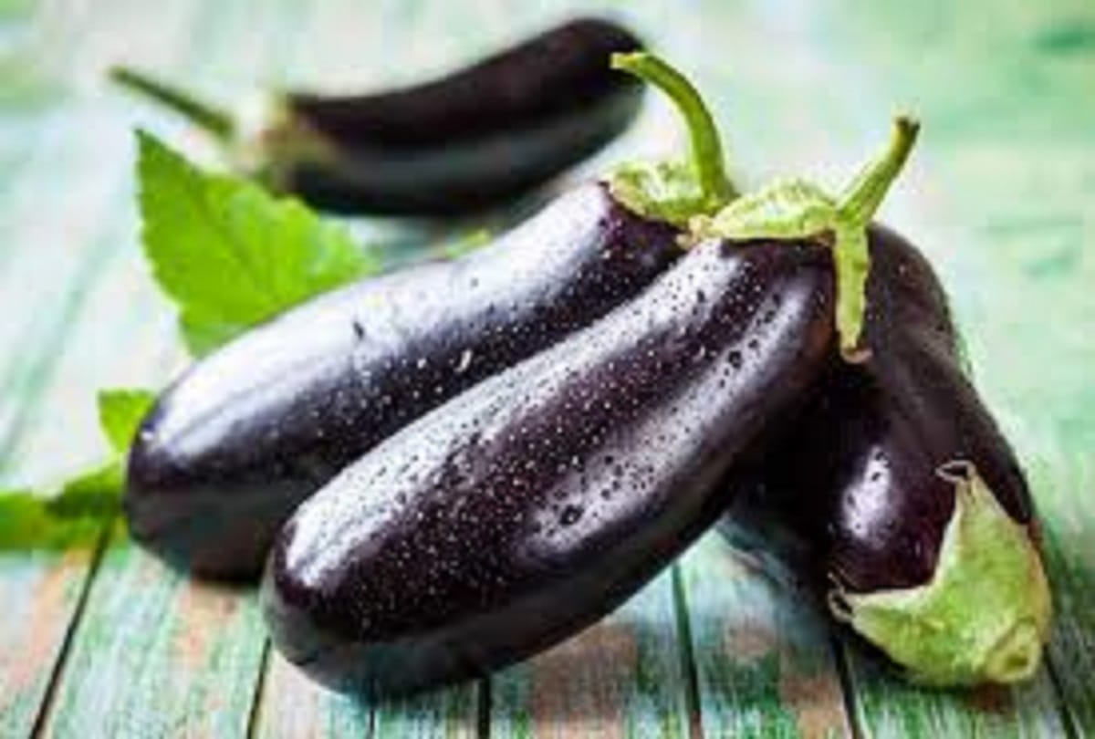 Agriculture Experts Tips to prepare farms for crops of brinjal plants
