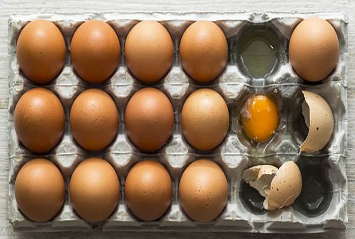 you dont need to eat refrigerated eggs know the facts about egg