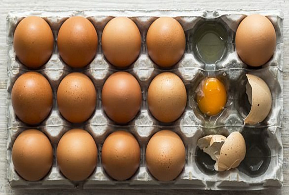 Scientists Prove Egg is vegetarian or non vegetarian Food