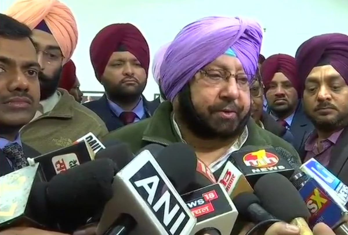 Lok Sabha Elections 2019, Punjab CM Captain Amrinder Singh Statement on Senior Leaders of Congress