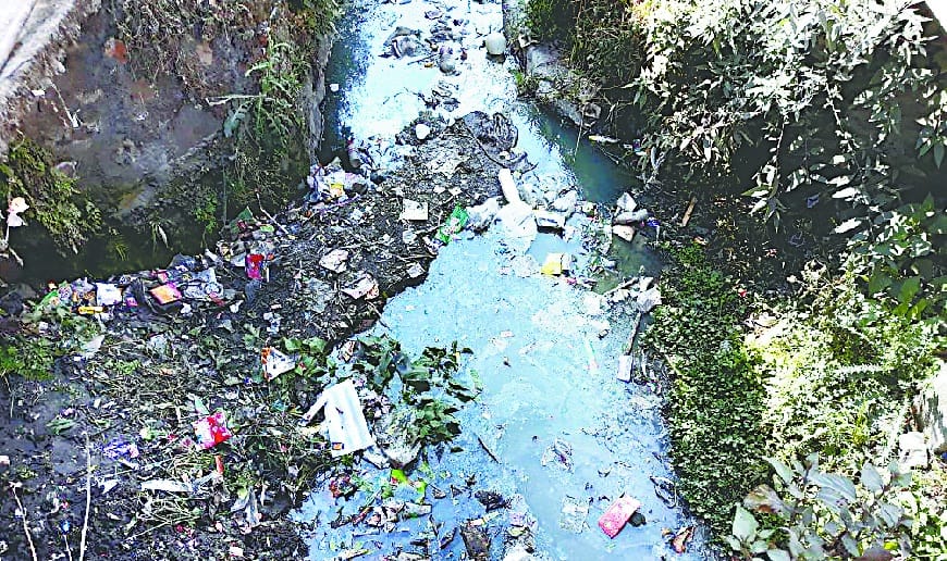 excuse me this is lake not a dustbin