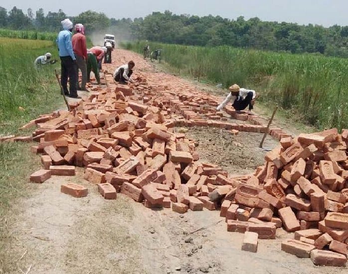 Hardua progressing in tiger prone area