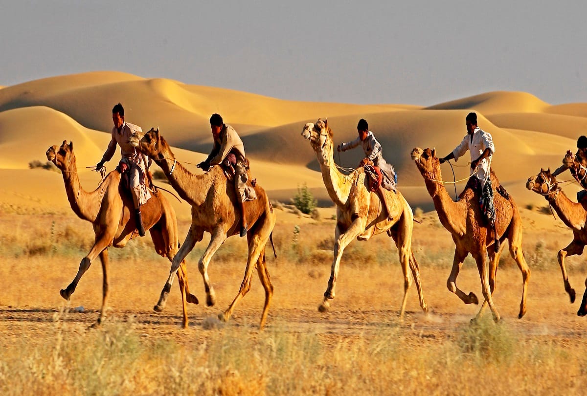 scientists research : Four million years ago, sea sway in Jaisalmer