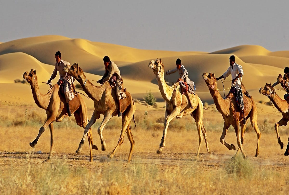 visit bhujia fort from delhi by train in 500 rupees