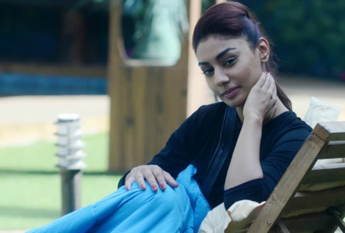 Mahek Chahal and Ashmit Patel marriage plan is something like Virushka wedding