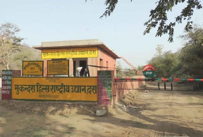 rajasthan bundi tiger t-91 movement seen nearby nh-52 in bundi 