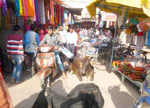 aved vahan parking or atikirmn se presani
