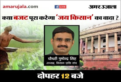 amarujala exclusive: farmers can get focus in the budget in the election year