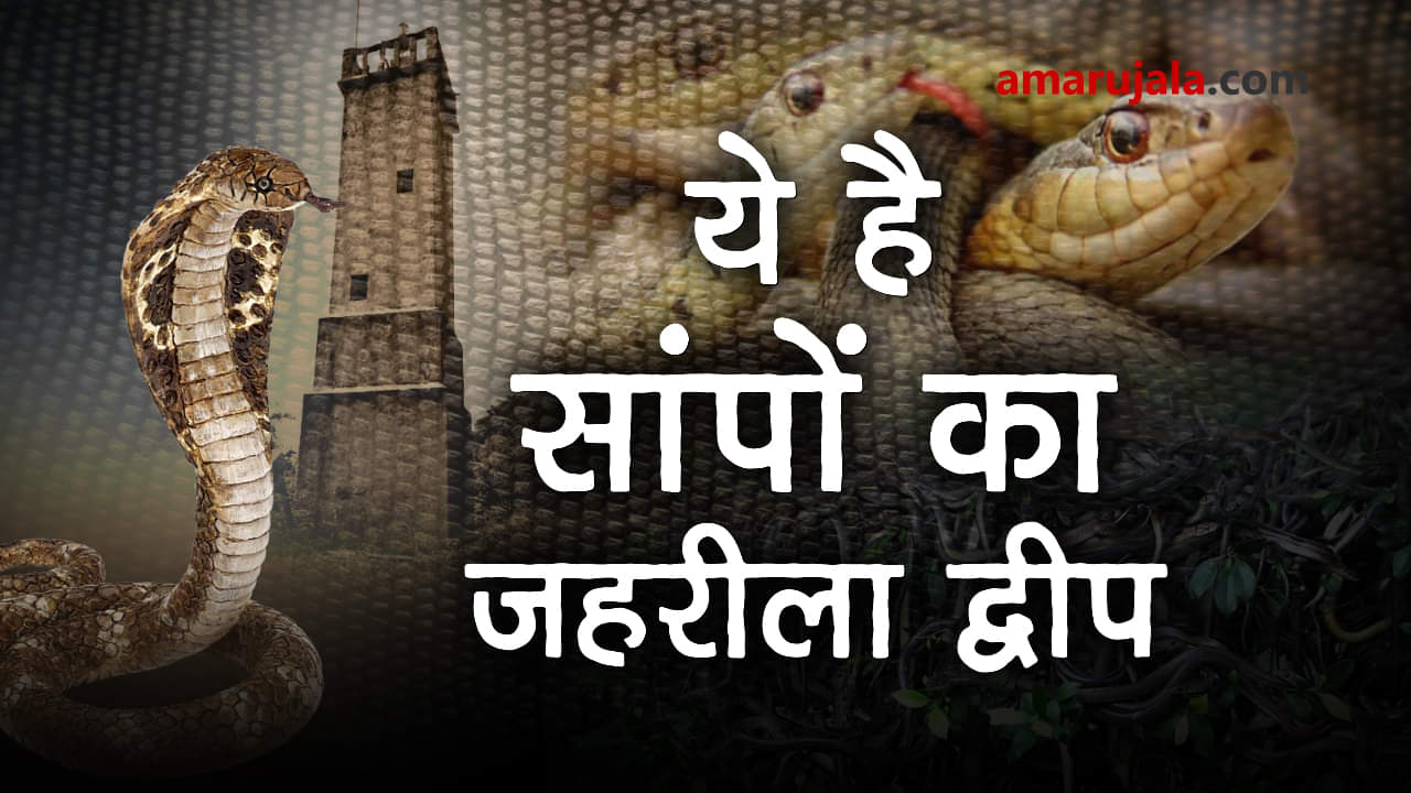 प्रतीकात्मक तस्वीर