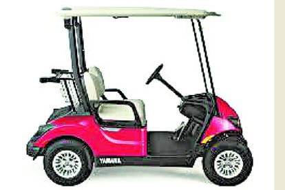 hydraulic bus facility for handicapped students in Dr. Shakuntala Misra university