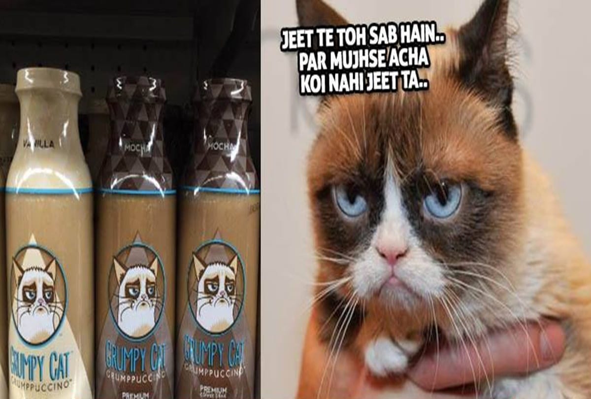 Cat Wins five crore In A Court Case 