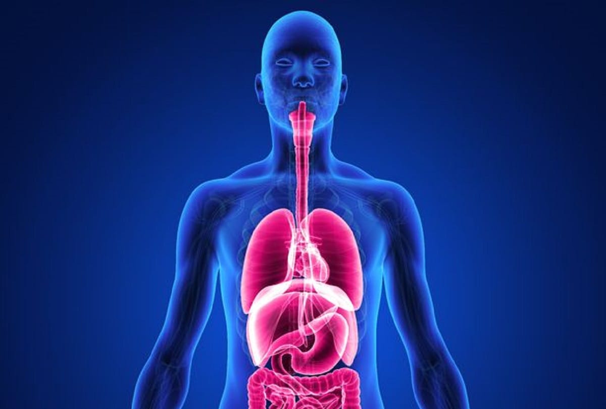 know how to get complete nutrition and prevent disease