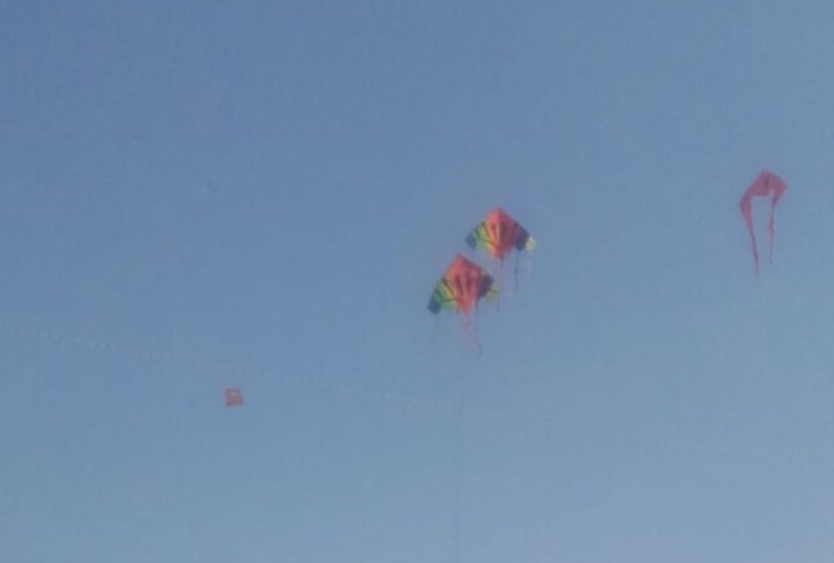 patang mahotsav on the bank of river gomti